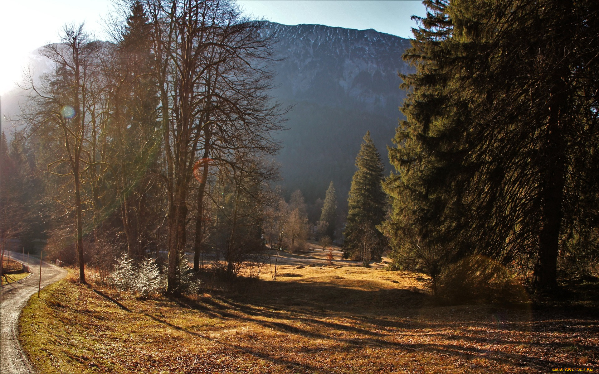 �������, ����, �������, �����, ����, ������